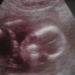 JanemaXx Meme Bookie