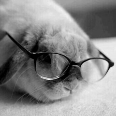 두 사람의 도시 (midi exp)