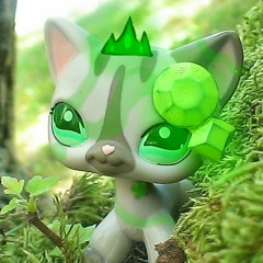littlestkitty13
