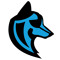 Coyote Motion