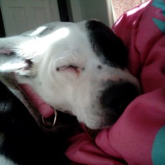 allusernamesaretakenhelp