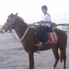 ahmad_alahmadi