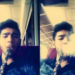 Talha Polat 2