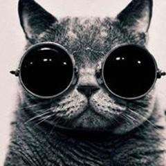 Andrius Žukauskas 2