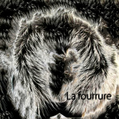 lafourrure