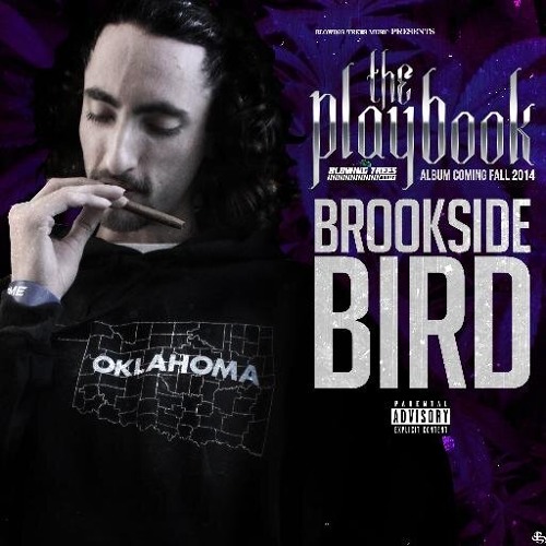 Stream "Let Me Fall" Brookside Bird x Shawn Kane by brooksidebird ...