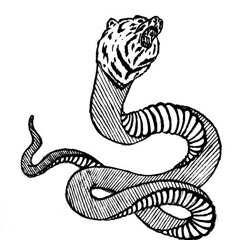 Colonel Sanders Revival