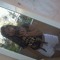 user461816511