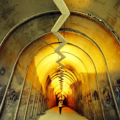 SHAMEFUL Whisperer$ LTD