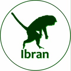 Ibran Music