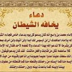 mahmoud maamoun