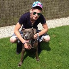 Jasper Vandewyngaerde