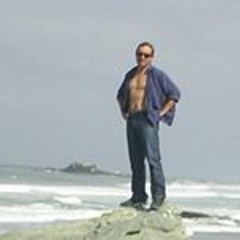 Alberto Meneses Gonzalez