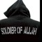 Soldier of Allah