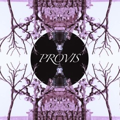 P R O V I S