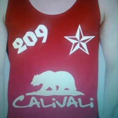 CaliVali209