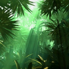 ♢ I L L V S T  K I D S ♢