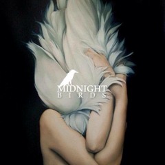 MidnightBirds