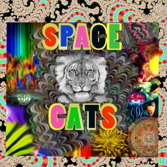 Space Cats