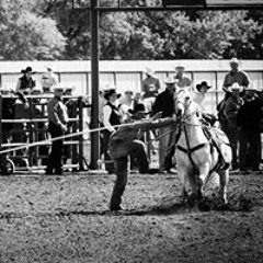 Colton Cotton Hulston