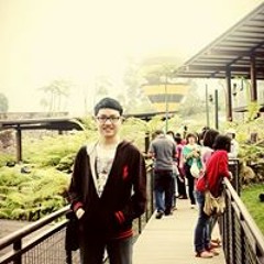 Antonius Albert Darwin