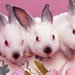 Magnetic G-LOADER (FEAT)