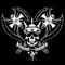 travo_810-bax-warrior