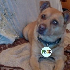 MorePBGK