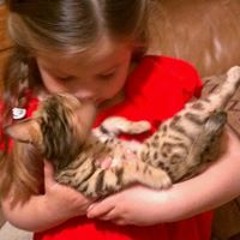 M'lynn Hopson Stasney