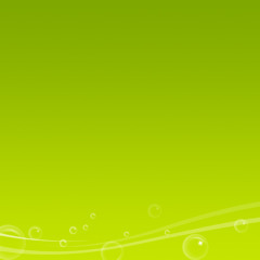 Roberta Jammy Colicchio