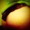 Victoriay Pedro