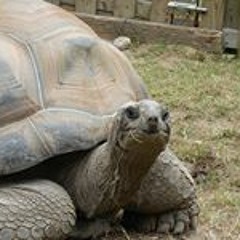 Christopher James 102