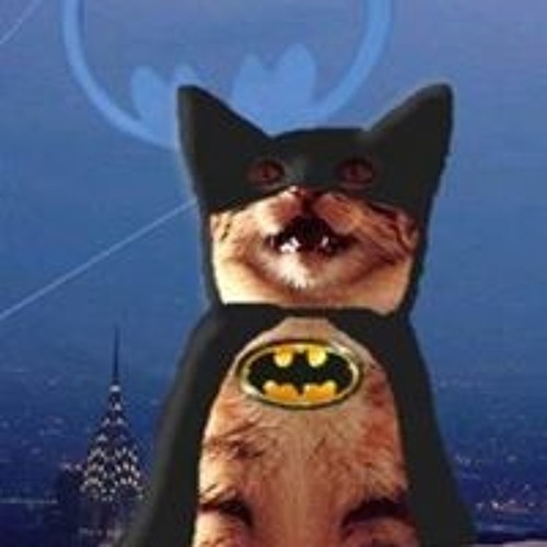 Кот бэтмен
