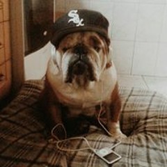 Cesar Alfredo Gonzalez