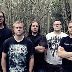 Without Words_Official