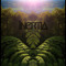 Inertia Nz