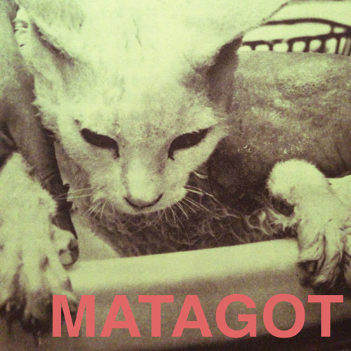 Matagot’s avatar