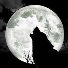 Alaska Y Los Pegamoides - Bailando