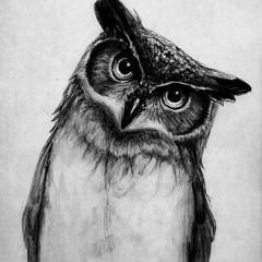 🦉