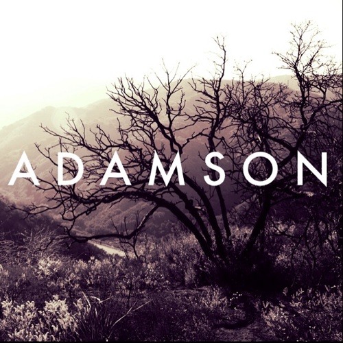 [adamson]’s avatar