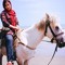 raz.hosseini