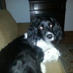 Katie Sturch-Jimenez