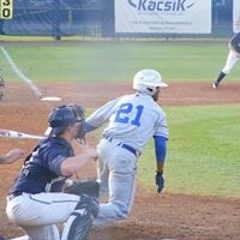 Pierre Lafayette Bowles