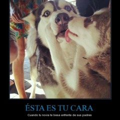 yisusWTF