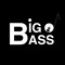 Love Big Bass