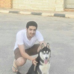 Sherif Eltaweel