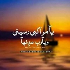 Walied Mohamed