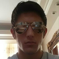 ali mostafavi 4