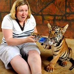 Claire Stanley-Williams