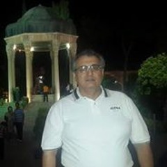 Nader Majidi